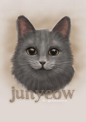 BAE Cats : Junyeow